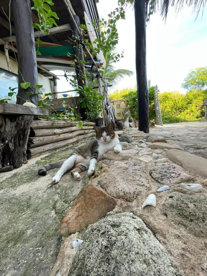 Casa Kayab Hotel Puerto Morelos Ngoại thất bức ảnh